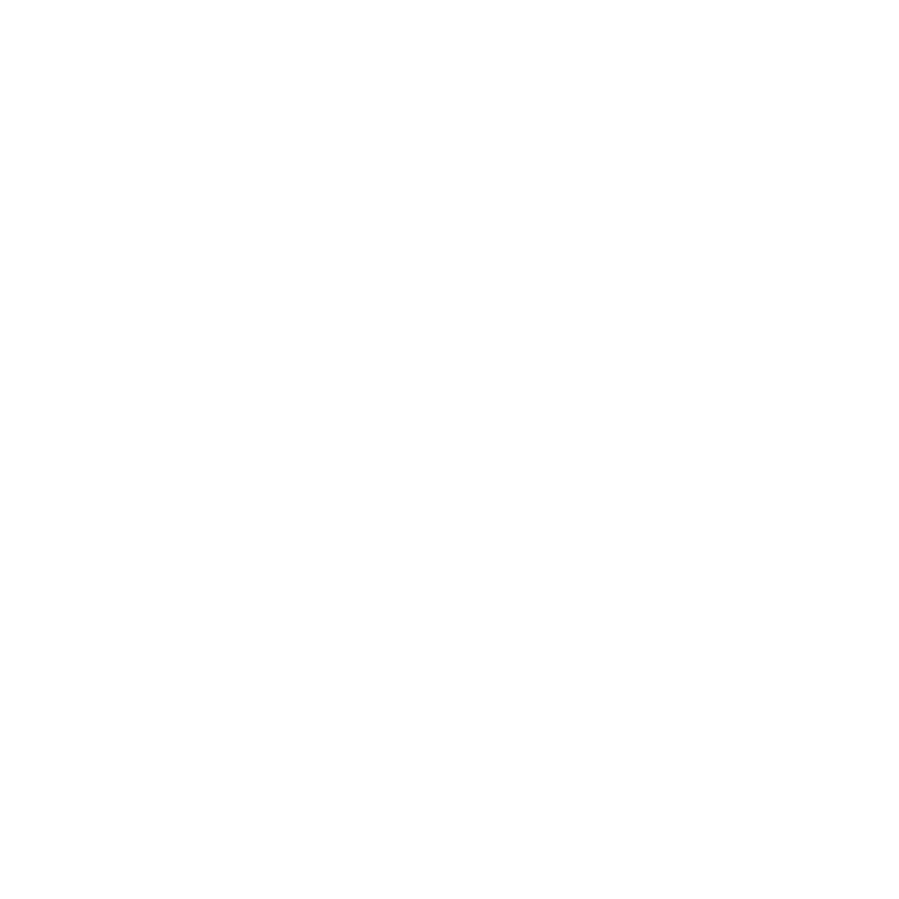 wordpress skill